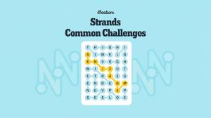 What Are the Common Challenges in NYT Strands? Explained with Solutions