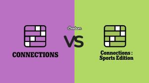 Connections vs Sports Connections – Key Differences Explained