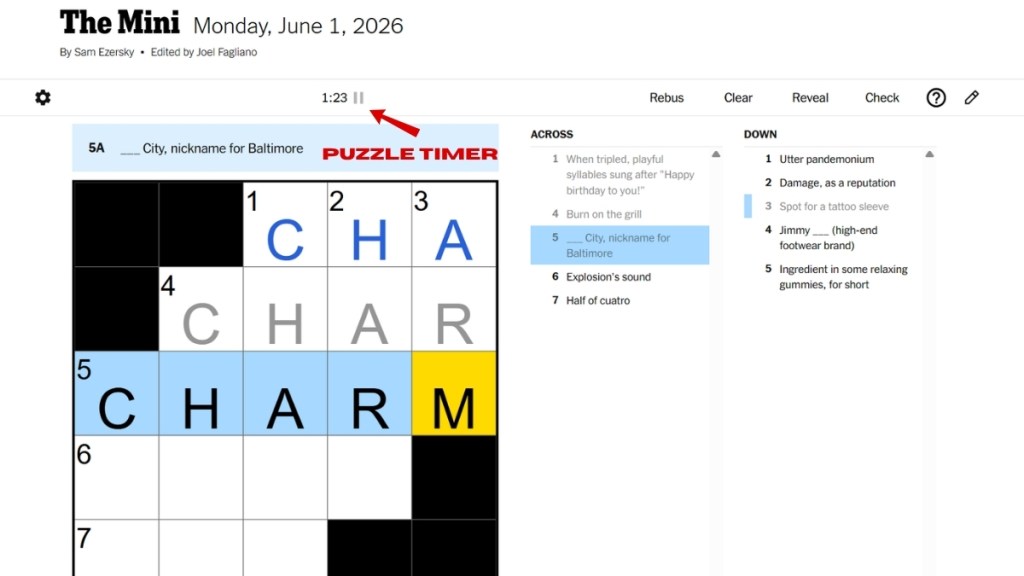 NYT Mini Crossword Puzzle Timer