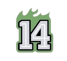 14-day streak wordle badge