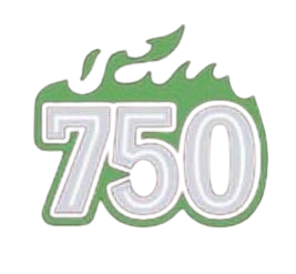 750-day streak wordle badge
