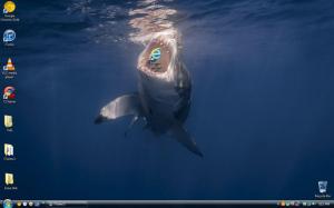 Internet Explorer- The Most Hated Icon On Your Desktop [Pics]