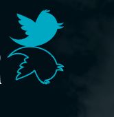 the tweet thereafter