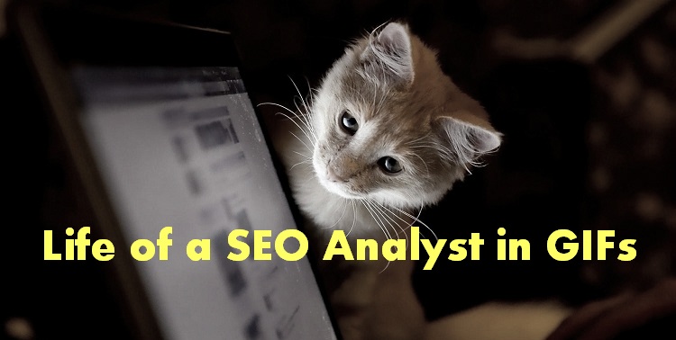 life of an seo analyst in gifs 11