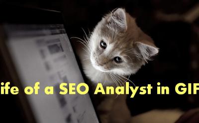 life of an seo analyst in gifs 11