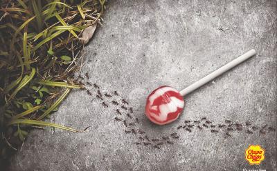Suger Free