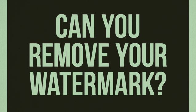 things you shouldn't say to a photographer 00