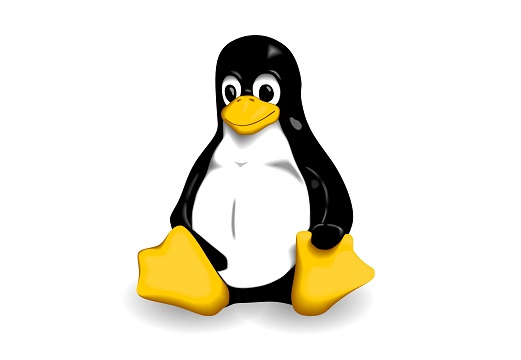 10 Best Linux Text Editors You Must Try in 2025 | Beebom