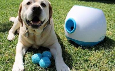 best pet gadgets