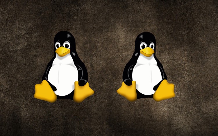 multiple-linux-distros
