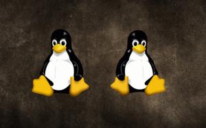 How to Run Multiple Distros Simultaneosly Using Linux Containers