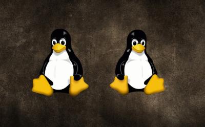 multiple-linux-distros