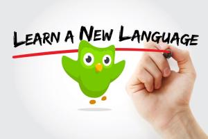 Top 10 Duolingo Alternatives for Better Language Learning