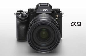 12 Best Mirrorless Cameras You Can Buy