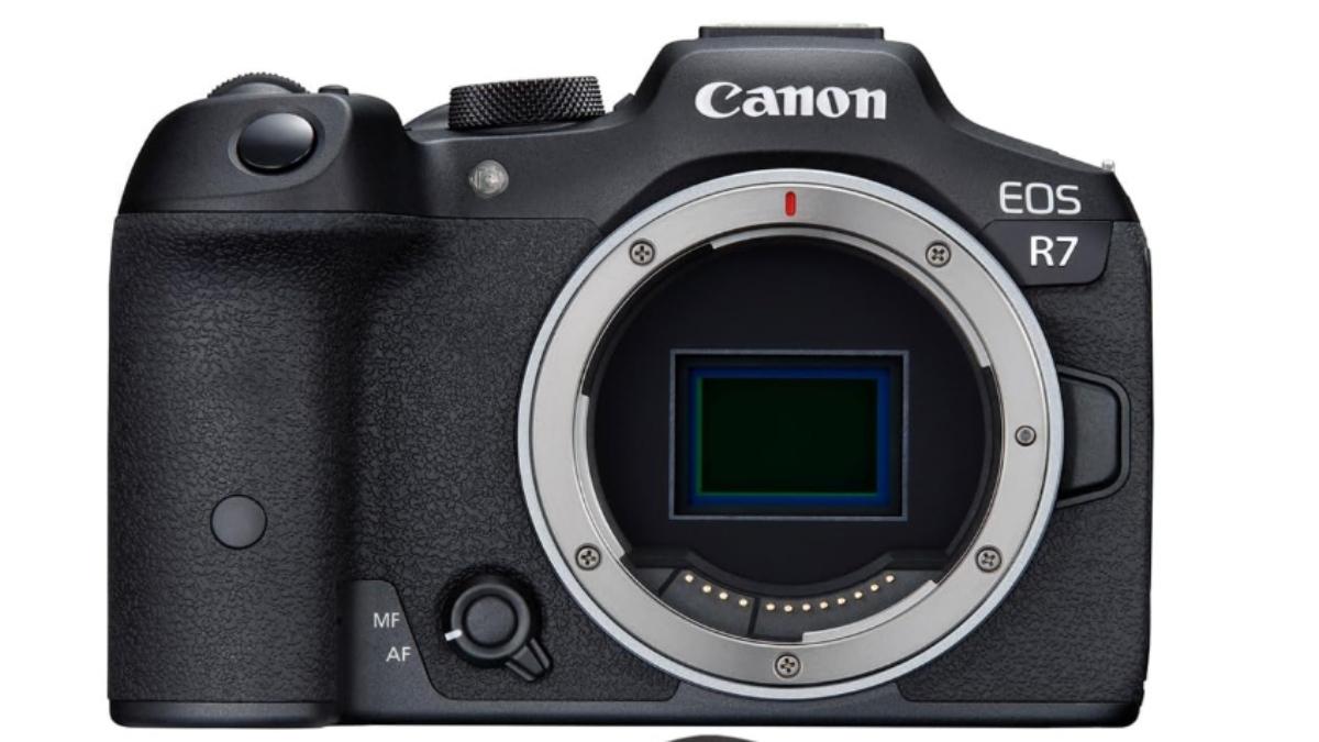 Best Mirrorless Cameras in 2026: Top Picks for Every Budget and Skill ...