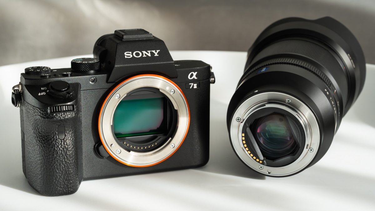 shot of the Sony A7 to demonstrate a list of the best mirrorless cameras