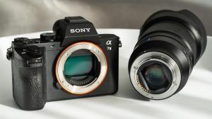 Best Mirrorless Cameras in 2026: Top Picks for Every Budget and Skill Level