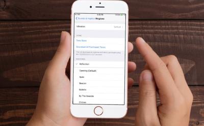 How to Get New iPhone X Ringtone on Other iPhones