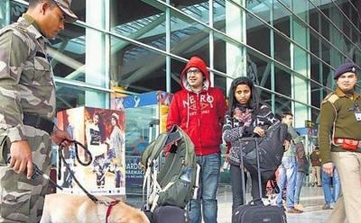 CISF at Work. IGI Airtport (HT Image) website