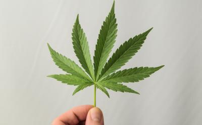 HP is Entering the Legal Marijuana Business With its PoS Solutions