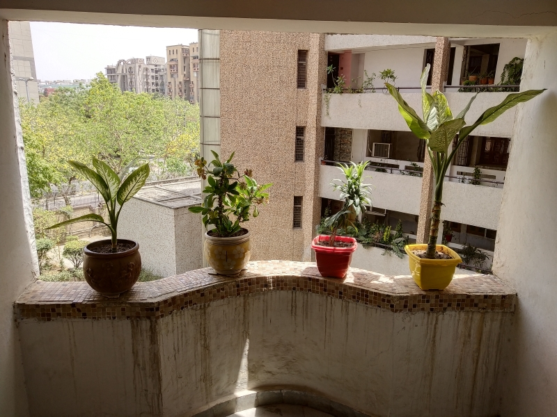 Vivo X21 Camera Samples Normal 5