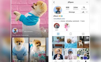 instagram web