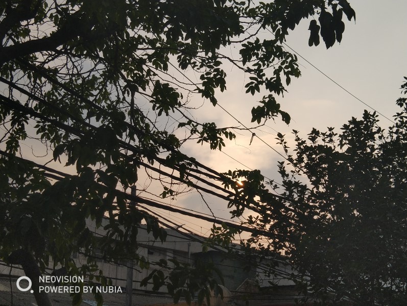 Nubia Red Magic Back Camera Sample (2)