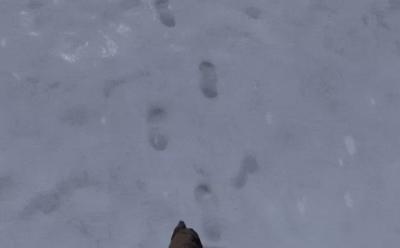PUBG Winter Map PUBG Snow Map Footprints featured