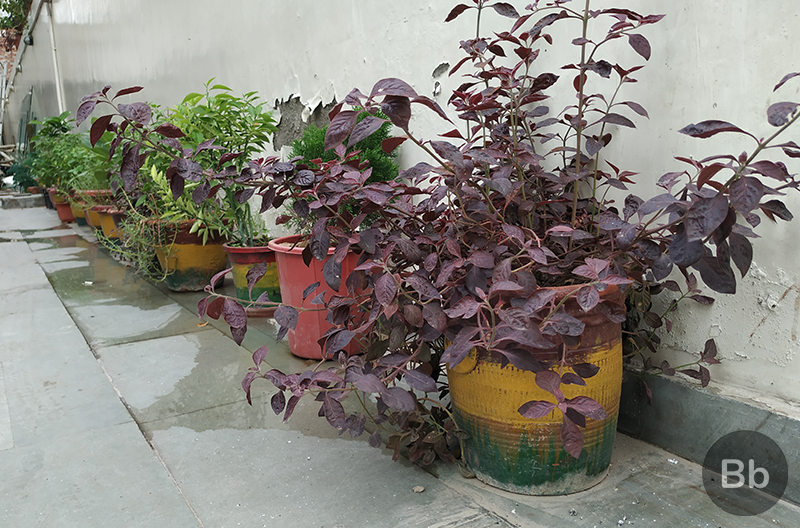 Poco F1 Camera Review