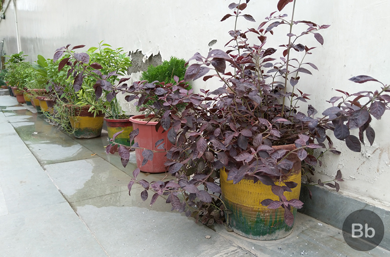 Poco F1 Camera Review