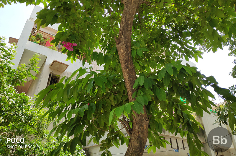 Poco F1 Camera Review