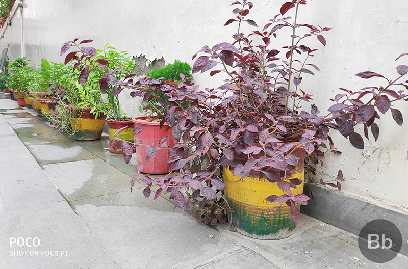 Poco F1 Camera Review