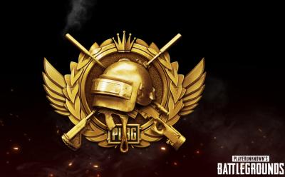 PUBG #22 website