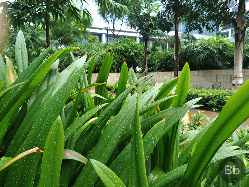 motorola one power camera 11