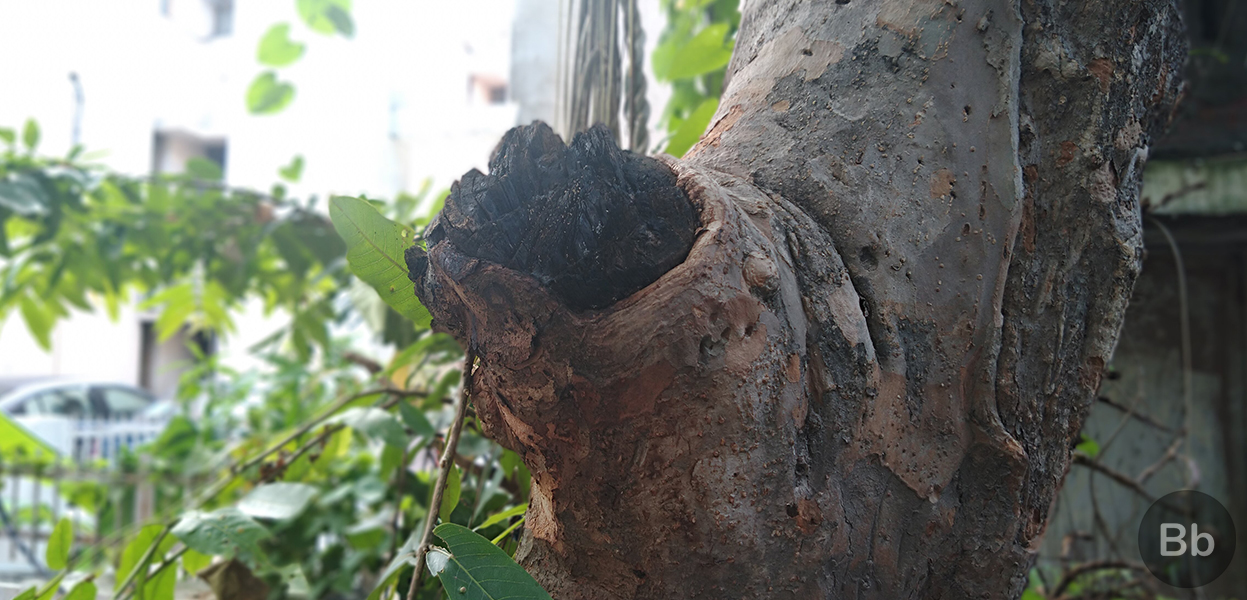 motorola one power camera 17