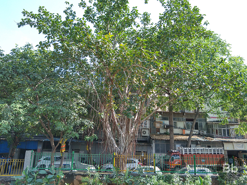 motorola one power camera 7