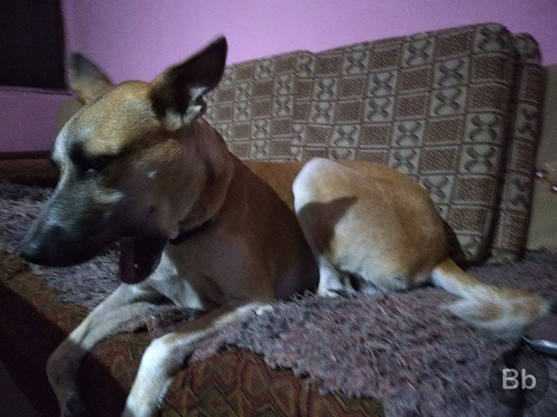 motorola one power camera 9