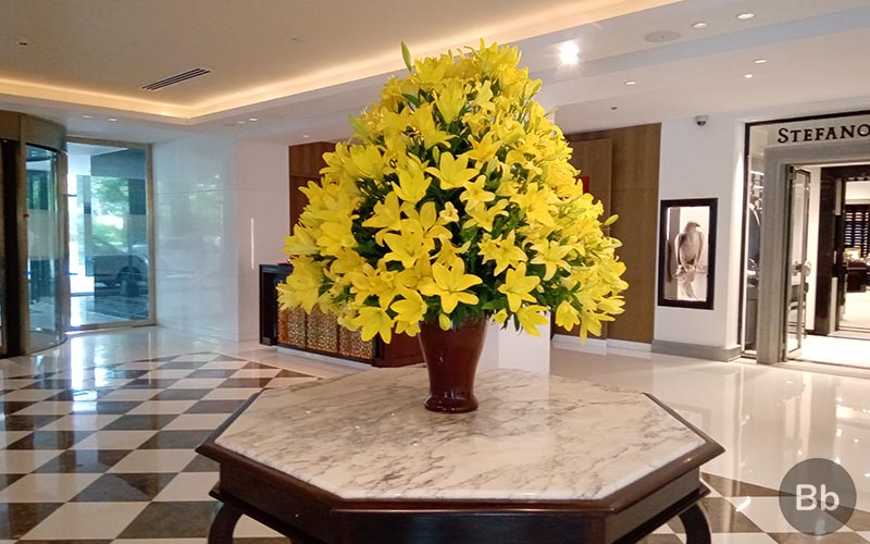 Nokia 31 Camera Sample 3