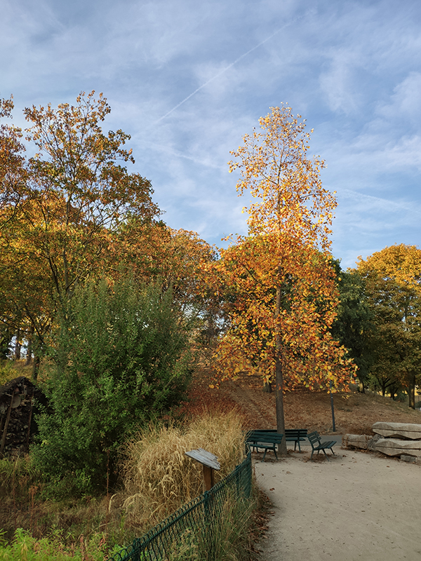 Xiaomi Mi Mix 3 Scores 103 on DxO Mark, 108 in Photo Score