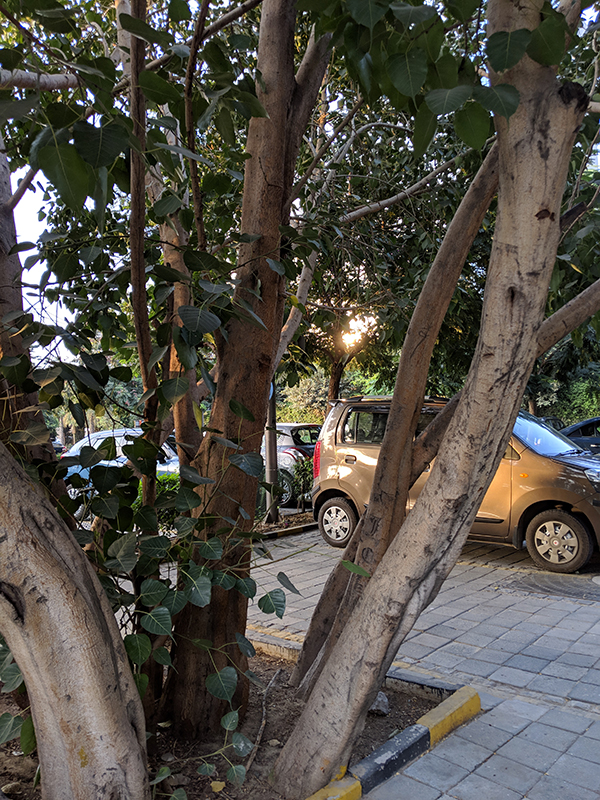 pixel 3 camera review 22