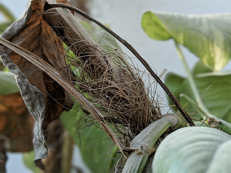 pixel 3 camera review 31