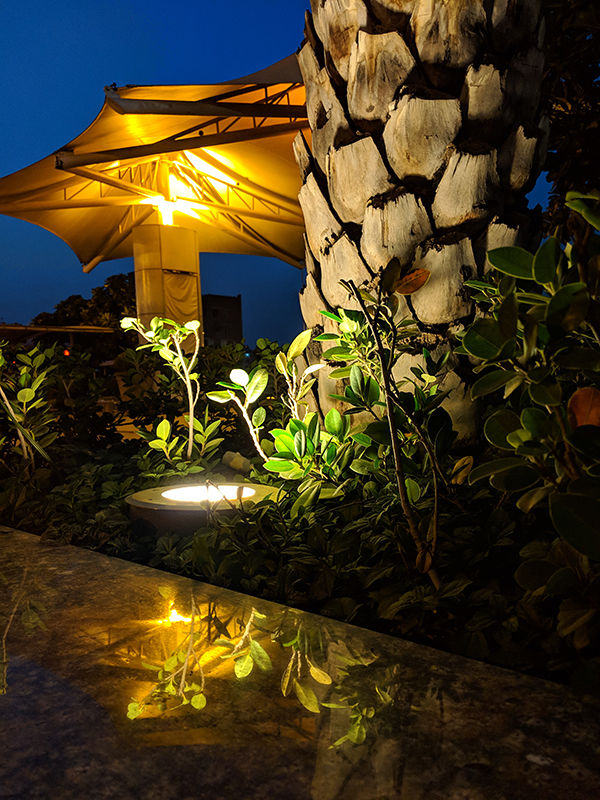 pixel 3 camera review 44