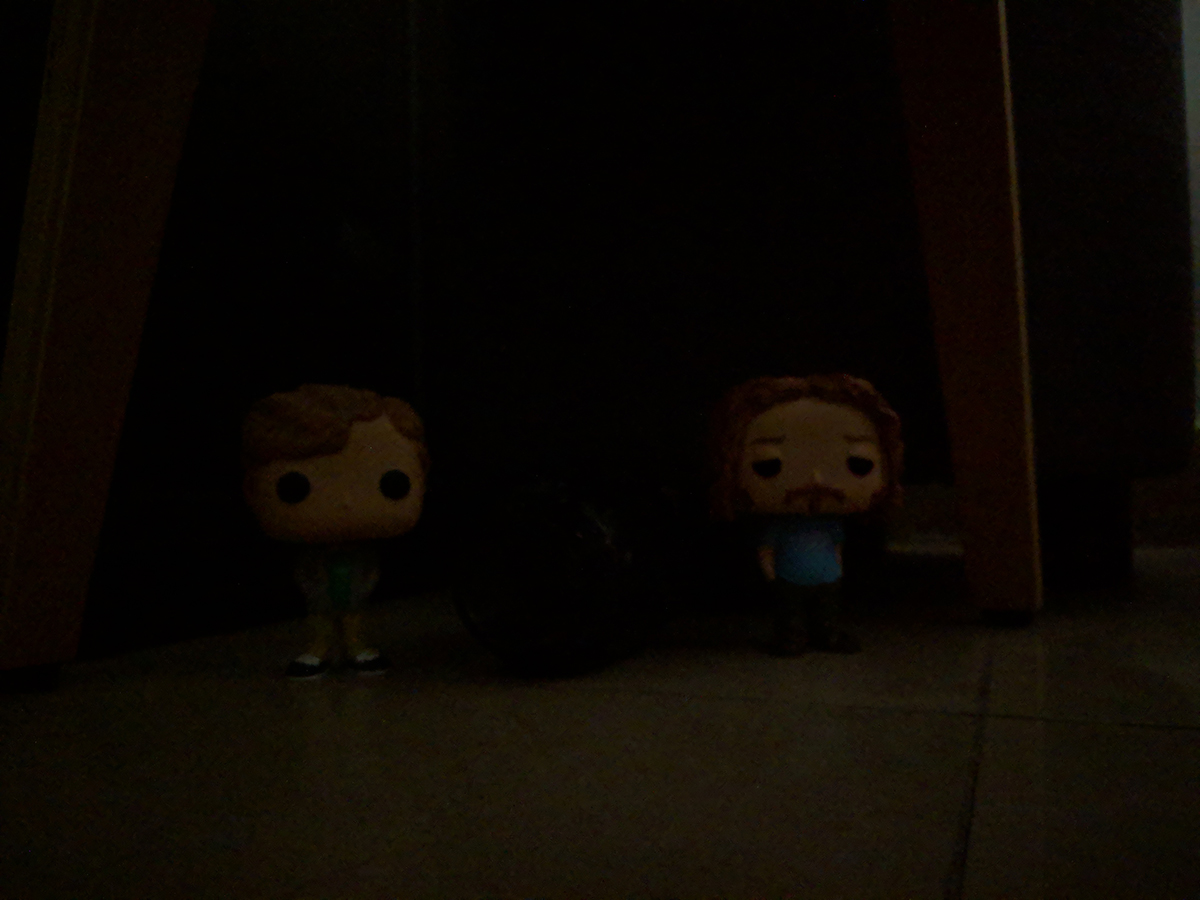 pixel 3 xl night sight 5