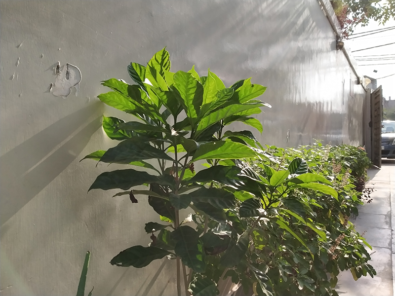 redmi note 5 pro sample