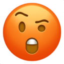 angry_skeptical_face_with_open_mouth