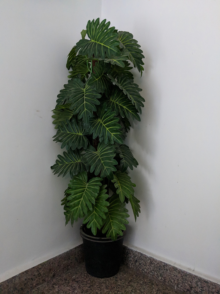 Samsung Galaxy A9 Review: Entertaining but Not Exciting