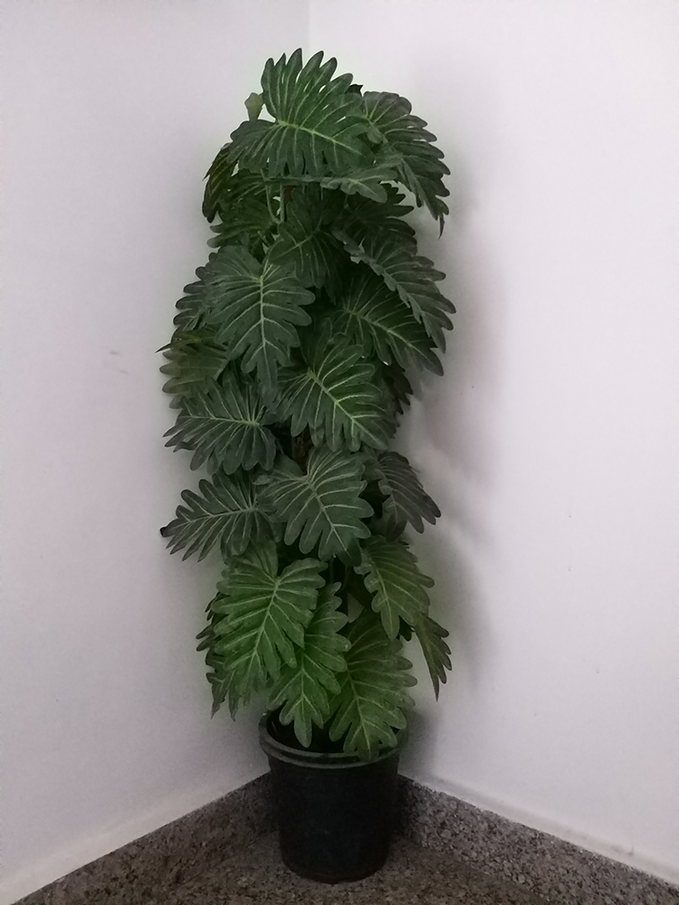 Samsung Galaxy A9 Review: Entertaining but Not Exciting