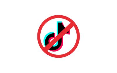 TikTok Ban - Madras High Court Asks Center to Ban Downloading of TikTok
