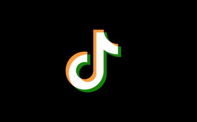 TikTok Indian Users