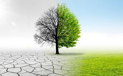 Researchers Raise Climate Change Awareness Using AI Generated Images